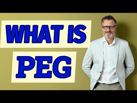 Peg | Definition of peg