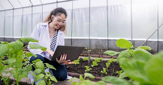 What does an Agricultural Engineer do and How to Become One