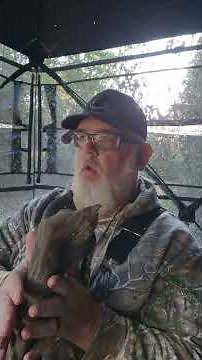 The Best Way to Call a Buck #bestway #deerhunting