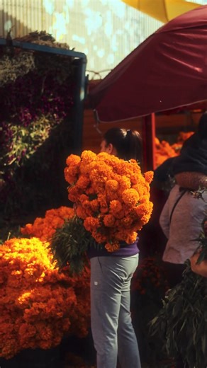 74 reactions | Human Assembly Atelier | Human Assembly | Facebook