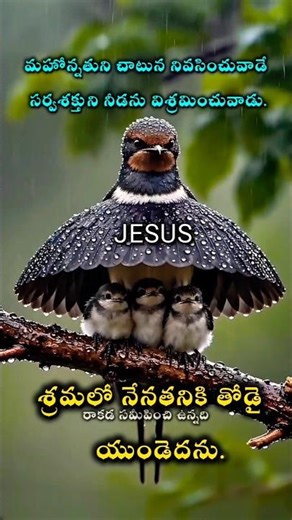 శ్రమలో నేనతనికి తోడై యుండెదను. #jesus #shorts #shortvideo #viralvideo #ytshorts #trending