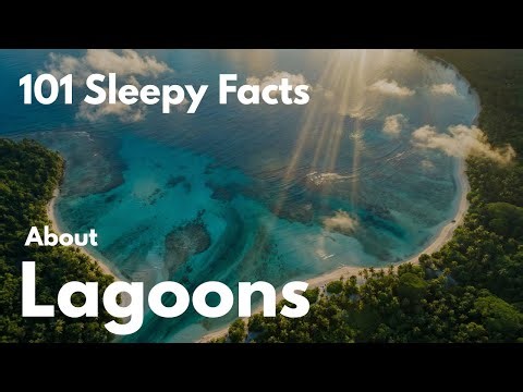 Lagoon Lullabies: Drifting Through Gentle Waters