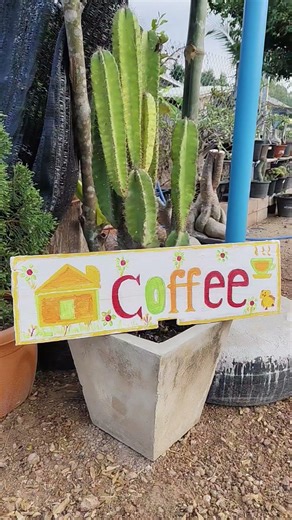 #ปลูกต้นไม้ #จัดสวน #ผักสวนครัว #กิจกรรมยามว่าง #บ้านสวน