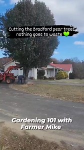 Bradford Pear trees are beautiful , but lists of trouble , they break easily landing on cars and houses , and the offspring off the Bradford pear have very sharp thorns , flat tires , not good for farm land , we appreciate y’all 😊 | Gardening 101 with Farmer Mike