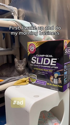 ARM & HAMMER Cat Litter on TikTok