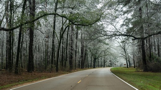 More than half of MS counties impacted by storm, governor says