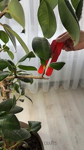 How to Build a Tiny Treehouse Step by Step | 5-Minute Crafts Family