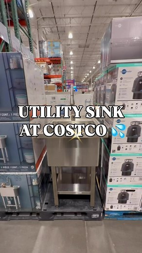 Upgrade Your Space with This Stainless Steel Utility Sink