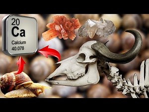CALCIO el metal mas abundante del CUERPO HUMANO | ELEMENTOS de la tabla periódica en un MINUTO