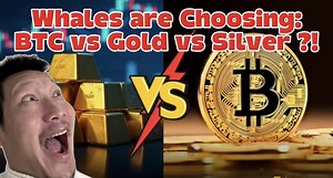Major Institutional Whales are choosing between Bitcoin vs Gold vs Silver! What will they choose?! What shoudl you choose for next 6-12 months?! Pablo uses this exchange with lots of great bonuses! Click here👇https://www.bitunix.com/activity/normal/PabloHeman1122?vipcode=k1mk #BTC #Crypto #NASDAQ #trading #stocks | Pablo Heman