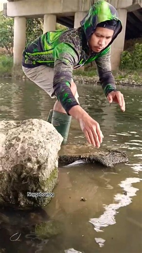 hiding uhnder the old clothes🐟😱catching BIG FISH barehand 😱🐟#fishing #fish #catchingfish #river