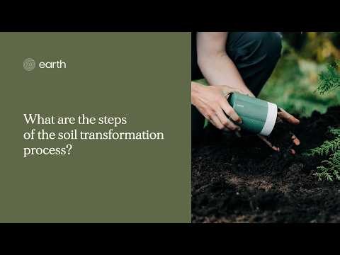 What Are the Steps of Human Composting? Preparation, Transformation, and the Return