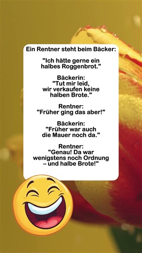 😅 Früher war alles einfacher… #deutsch #lustig #flachwitz