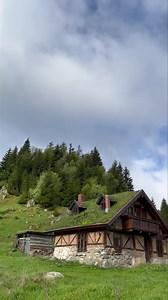 112K views · 2.9K reactions | Casa asta are iarbă pe acoperiș | Asta-i România | Facebook