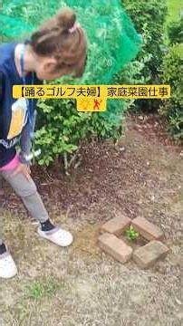 【おみかん🍊】種から芽が出たので植えてみた💡#ママたんパパタン幸チャンネル#りんりんりんりんさんとタカタカタカヒロ#家庭菜園