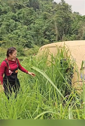 Classic Car Detailing and Restoration Tips