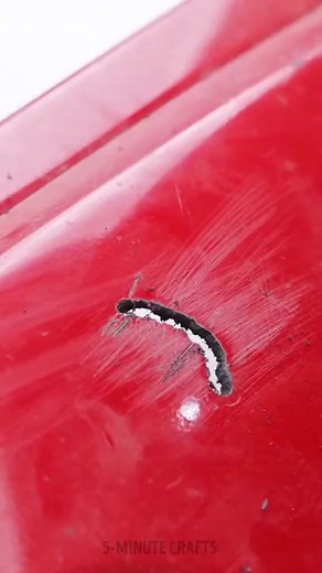 Part 1 #redditstories #redditreadings #askreddit #storie #reddit #stories