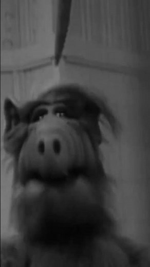 POV: Your mission is to take ALF down 🕷️ #scary #horror