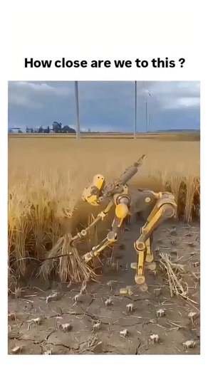 Thetrandinglab.48 on Instagram: "The post features a 12-second clip of a yellow humanoid robot using a scythe to manually harvest wheat in a field, prompting discussion on the pace of agricultural automation replacing human labor. Replies emphasize that modern machinery like John Deere combines already integrates AI and GPS for autonomous harvesting, far surpassing the demo's primitive approach, as evidenced by USDA reports on robotic farming increasing efficiency by up to 25% since 2020. Posted