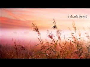 Background Music Instrumentals relaxdaily B Sides N°1