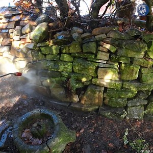 INCREDIBLE Overgrown Yard Transformation | Flawless Cleaning services