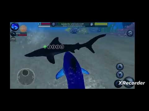 Ultimate Shark Simulator Blue Shark