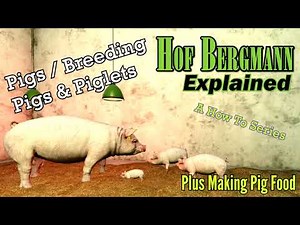 FS19 Hof Bergmann Explained 🐖 Pigs / Breeding Pigs + Piglets 🐖 A How To Series