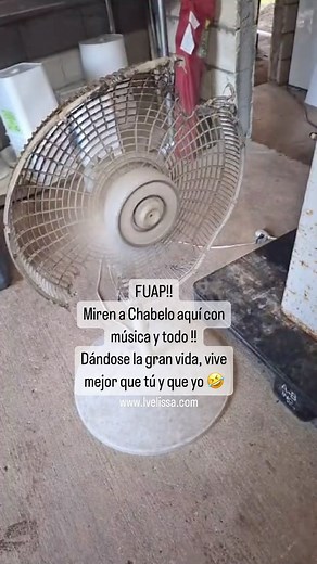 55K views · 1.4K reactions | Es Viernes y Chabelo lo sabe !! 藍 Mis...