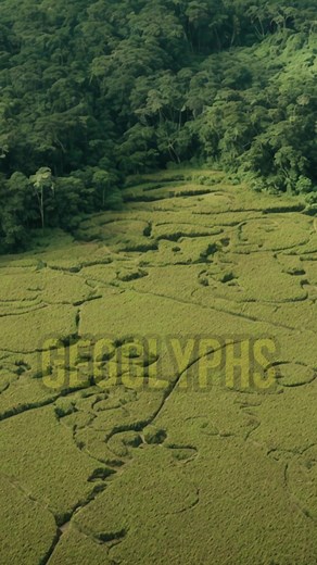 Hidden Amazon Geoglyphs Uncovered: A Lost Civilization Revealed