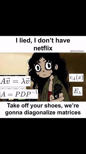 MathMatize | No complaints here #math #mathmemes #stem #mathematics #mathematician #physics #linearalgebra | Instagram