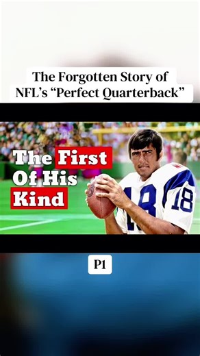 P1. The Forgotten Story of NFL’s “Perfect Quarterback” #romangabriel #nfllegends #nflhistory #nflfootball #Foryou