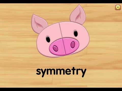 Starfall Geometry And Measurement Symmetry #7