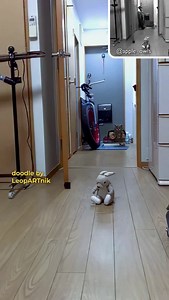 74K views · 7.4K reactions | ✨✨✨ Sorcery ✨✨✨ #throwback #leopartnik...