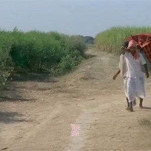 1.4M views · 68K reactions | - True Love Song ! 鹿 #New #love #song #music | True Love | Facebook