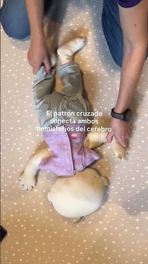 3 Ejercicios pre-gateo (patrón cruzado)