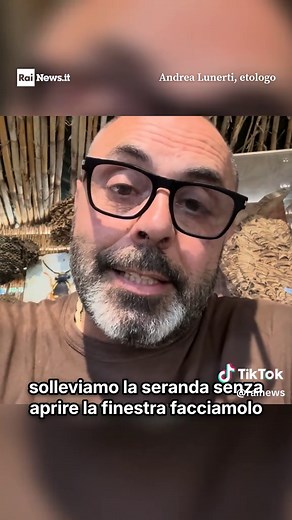 Le crocchette dei gatti sono un alimento apprezzato dalle vespe orientalis. Sempre più spesso, infatti, vengono avvistate in luoghi dove gli insetti hanno fatto il nido. Ad affermarlo è Andrea Lunerti, etologo, che in questi giorni sta effettuando diverse operazioni di messa in sicurezza delle abitazioni proprio a causa di resti di cibo per animali lasciati incustoditi. A Rainews.it i consigli di prevenzione per chi torna dalle vacanze e l’appello dell'esperto: