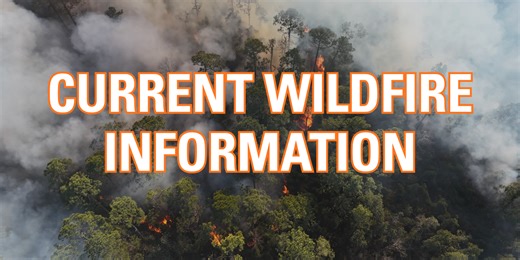 Current Wildfire Information and Resources | Georgia Forestry Commission
