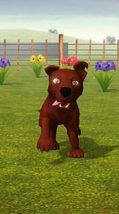 Juego: El Pollito y el Tractor 3D | El Pollito y el Tractor 3D