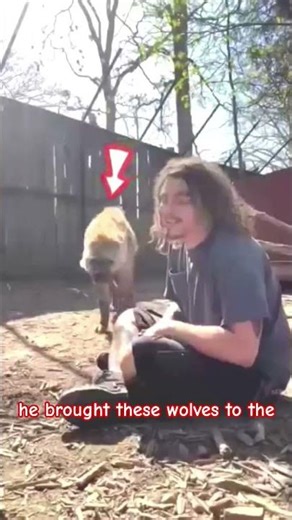 🐺 Man Who Lives With Wolves | Accepted as One of the Pack