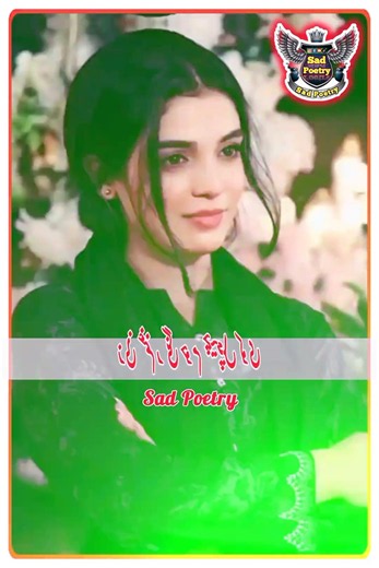 Pashto Poetry || پشتو شعر || O we ma waya chi speen yawaze hukale de || Pashto Sher || Sad Poetry
