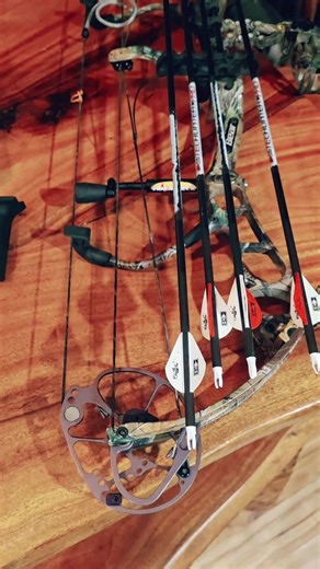 Ultimate Bowhunting Guide for Bear Hunting