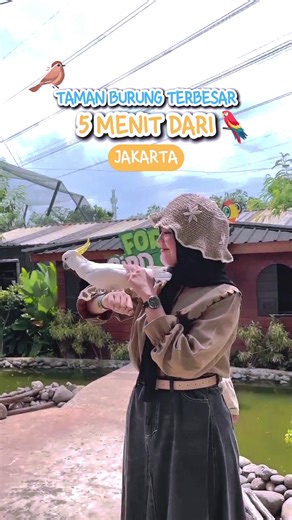 Aviary Park Indonesia: Taman Burung 5 Menit dari Jakarta
