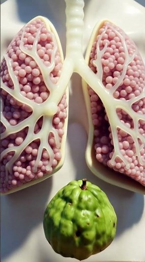 What Happens Inside Your Body When You Eat Guava 🍈 | Full Body Anatomy Explained