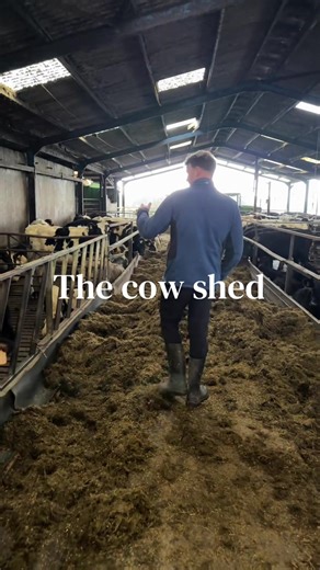 Counting Cows in the Shed: Farm Life Insights