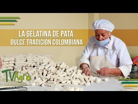 Pata Jelly: A Sweet Colombian Tradition - TvAgro by Juan Gonzalo Angel