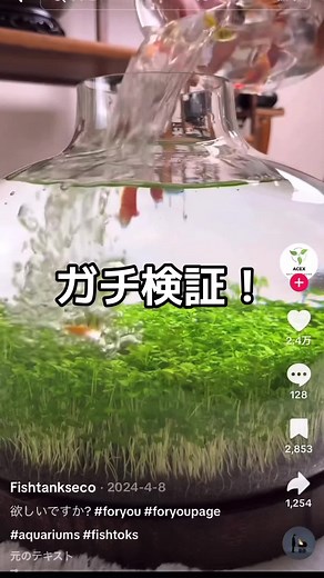広告の種巻きで水草が生える実験！