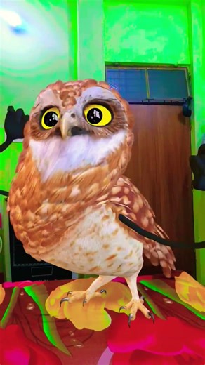 🤣🤣🤣😂😅😅#funny #comedy #entertainment #dance #apt #memeedit #shorts #crazyowl #crazy #cute #artinwood