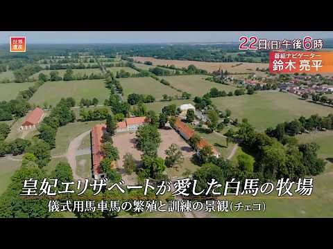 『世界遺産』9/22(日) クラドルビ･ナド･ラベムの儀式用馬車馬の繁殖と訓練の景観 〜 皇妃エリザベートが愛した白馬の牧場【TBS】
