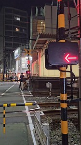 Up close and personal crossing with the Seibu Ikebukuro line in Tokyo #japan #jji #train #close #crossing | Japan Japan Ichiban