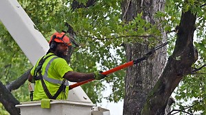 How Teak Wood Is Turned Into Stunning Dining Table Boards (1.5cm x 2m)